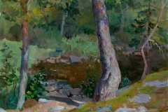 karelskaya-sosna-h.m-2004-g.-50x40