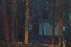 osveshhennye-fonaryami.-h.m.-2021-g.-70h40