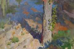 topol-h.m.-2011-g.-42x33