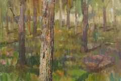 v-parke-h.m.-2011-g.-42x33