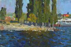 volnenie-volgi.-h.m.-2019-g.-50h40